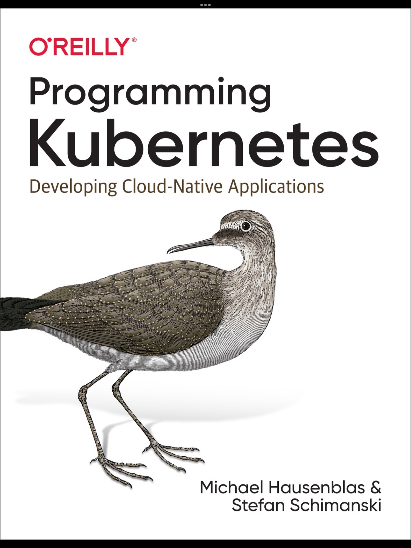 Programming Kubernetes